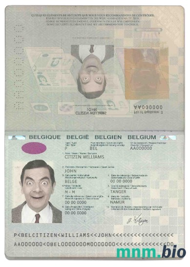 Paszport belgijski (2014-2017) przykład w formacie PSD, w pełni edytowalny